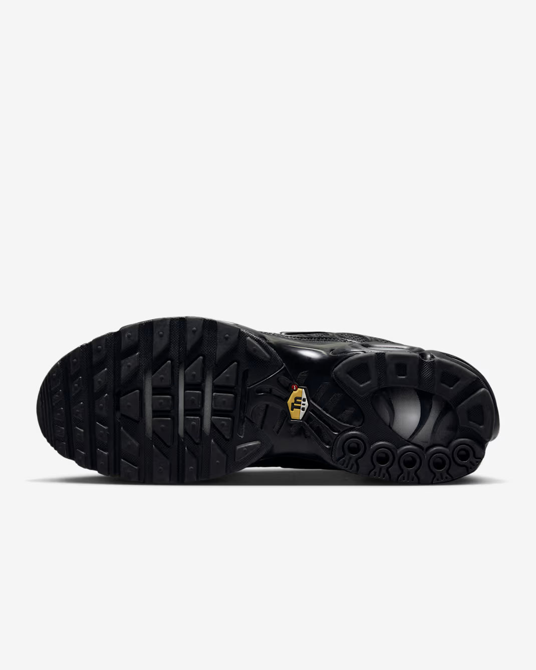 Nike TN Air Max Plus Noir