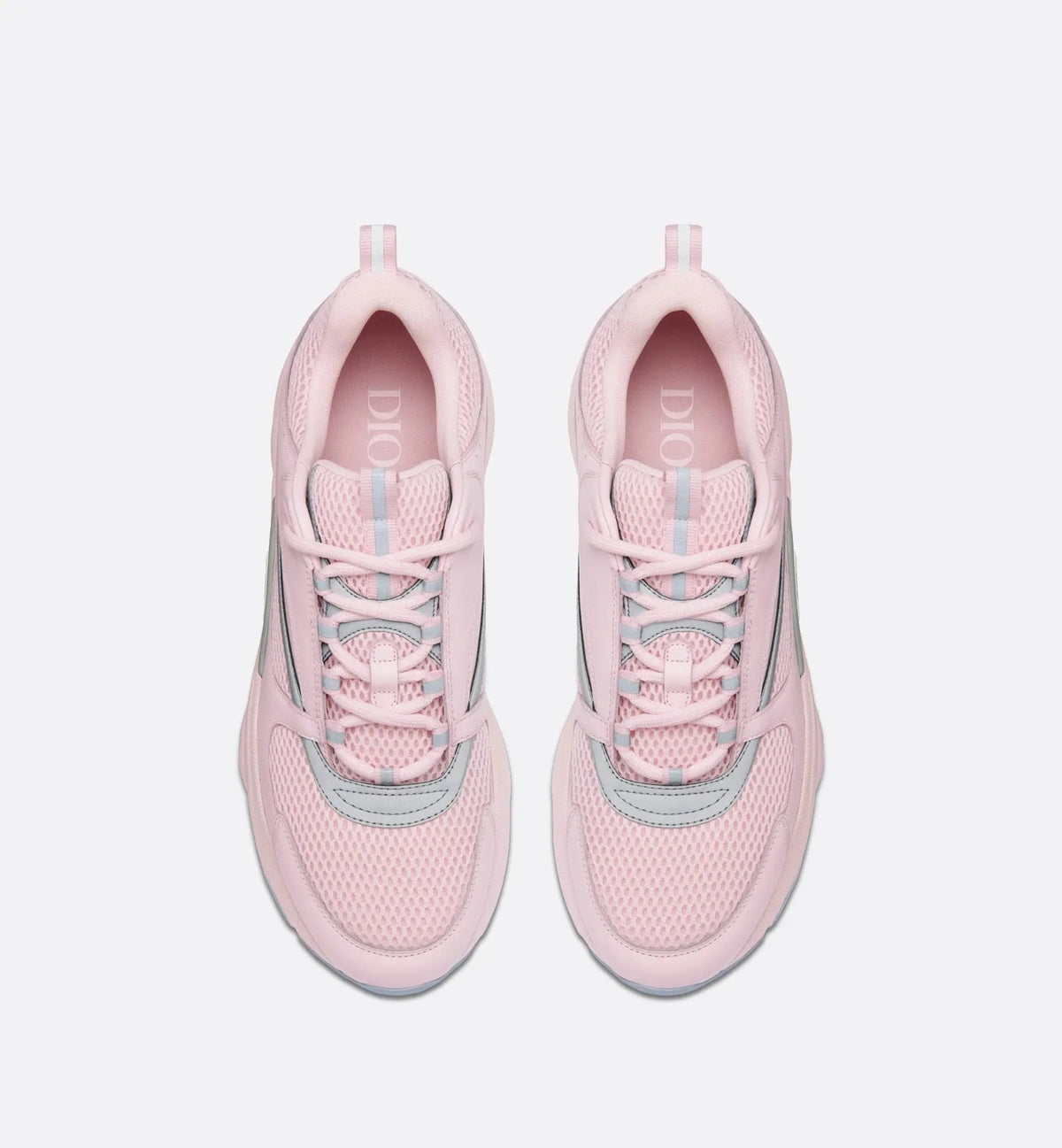 Dior B22 Rose