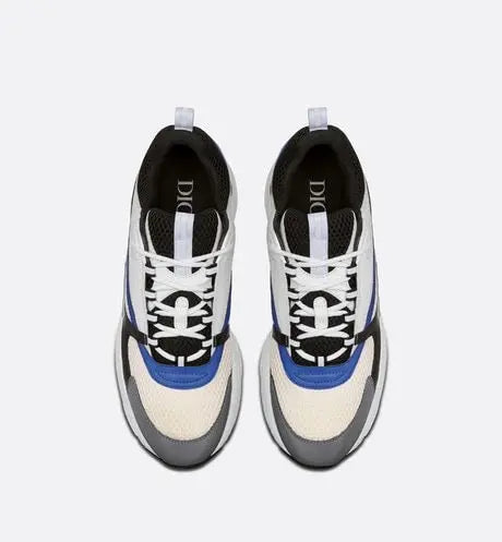 Dior B22 Bleu & Blanc Givré